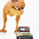 Illustration for article titled Welcome to the Jungle: Matchbox Jurassic Legacy Collection